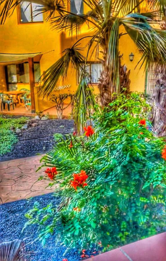 Paradise House Коральео Экстерьер фото